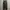 Lee Carpenter Pant
