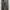 Lee Carpenter Pant photo 3