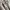 White Lee Wide Carpenter Pant photo 9