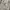 White Lee Wide Carpenter Pant photo 4
