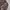 Coogi Style by Roundtree & Yorke photo 2