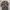Coogi Style by Roundtree & Yorke photo 1