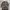 Coogi Style By Roundtree & Yorke