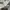 Nike Streetwear Sportswear Hoody Pria gray photo 3