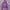 Enguired Ask Y2k Hoodie
