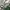 Crewneck Adidas Tree Foil Big Logo Original photo 3