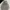 ziper hoodie abercrombie photo 1