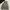 Ziper Hoodie Whoau