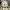 Tas Bucket Kangol Ivory  photo 1