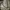 Tas Bucket Kangol Ivory  photo 2