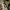 Tas Bucket Kangol Ivory  photo 4