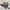 Sling bag pria merk Visval photo 3