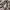 Naning9 Leopard Pattern Knit Sweater photo 4