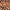 Browny Leopard Pattern Knit Sweater photo 3