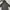 Adidas beach coat long jaket winter photo 1