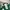 Green Sport tracktop colorblock photo 1