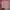 BASIC FITTED CROP COLORBOX PINK photo 2