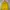 Casual Windbreaker Pria yellow photo 3