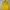 Casual Windbreaker Pria yellow photo 7