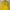 Casual Windbreaker Pria Yellow