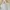 Hoodie Crop top wanita aksen Mutiara permanent photo 1