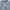 Casual Hoody Pria gray photo 2