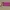 Victoria's Secret Pink Wristlet/Wallet Bag