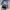Junji ito tomie compilation 2  photo 1