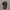 MLB Vintage Sportswear Hat Pria Red Black
