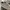 New Balance 550 White Grey photo 5