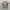 T-Shirt Outdoor Lafuma