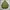 Vintage Military Saint Martin Multi Pocket Double zip photo 8