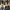 Windbreaker  Adidas three stripes  photo 5