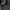 Windbreaker  Adidas three stripes  photo 2