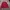 HARRINGTON WORK JACKET CASUAL VINTAGE JACKET  photo 1