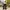 Uniqlo U Wide Fit  Parachute Cargo Pants photo 7