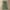 Crocodile longpants loose army color photo 1