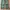 Crocodile longpants loose army color photo 2