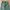 Crocodile longpants loose army color photo 3