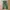 Crocodile longpants loose army color photo 6