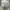 Carhartt Luxury Hoody Pria gray photo 2
