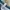  Adidas Performance Windbreaker Pants – Navy Blue photo 4