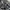  Adidas Climacool Track Pants – Black White photo 3