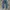 Levis 501 Jeans Made In USA photo 3