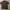 Polo Shirt RL