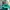 Coach Leaf Green Petal Bag – Rare Collection, Excellent Cond photo 4