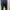 Calvin Klein black pants photo 4