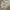 New Autumn Coat Beige photo 3