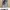 Louneer In Seoul Carpenter Style Pants photo 10