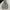 ziper hoodie descente photo 1